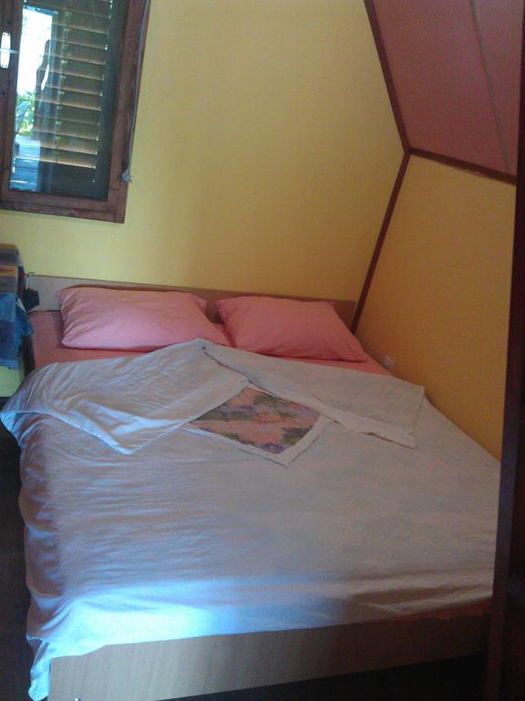 Ada Bojana Apartmani 乌尔齐尼 外观 照片